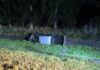 Accidente en Ruta 2: una persona resultó herida