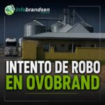 Intentaron robar en Ovobrand y huyeron ante la llegada de la policía
