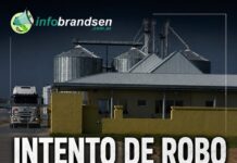 Intentaron robar en Ovobrand y huyeron ante la llegada de la policía