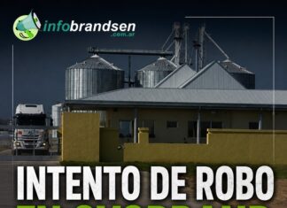 Intentaron robar en Ovobrand y huyeron ante la llegada de la policía