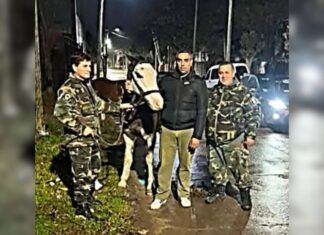 Le robaron el caballo aquí y fue recuperado en Alejandro Korn
