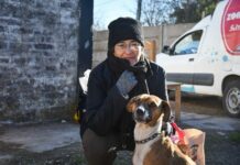 Domselaar: este jueves habrá operativo de Zoonosis con castraciones y atención gratuita