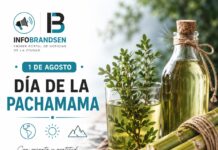 ¿Por qué se toma caña con ruda en el Día de la Pachamama el 1º de agosto?