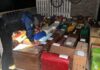 La PFA brindó detalles del allanamiento en Ibiza: 27 aprehendidos, 111 gallos rescatados y $9 millones secuestrados