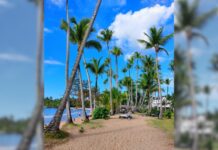 Santo Domingo y Samaná: historia, cultura y Caribe en una nueva salida grupal acompañada