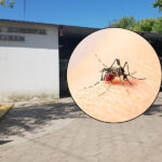 Personal municipal se capacitó para fortalecer la prevención del dengue en Brandsen