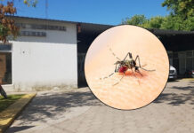 Personal municipal se capacitó para fortalecer la prevención del dengue en Brandsen