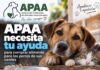 APAA necesita ayuda para comprar alimento para los perros de sus caniles