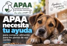 APAA necesita ayuda para comprar alimento para los perros de sus caniles