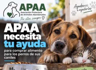 APAA necesita ayuda para comprar alimento para los perros de sus caniles
