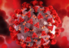 Detectaron en Argentina tres casos de una nueva variante del coronavirus