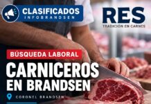 Búsqueda laboral en Brandsen: RES incorpora carniceros con experiencia