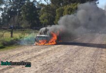 Sirena de los Bomberos Voluntarios: incendio vehicular y principio de incendio de vivienda