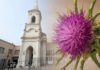 El CENS 452 quiere que Brandsen tenga una flor que lo identifique