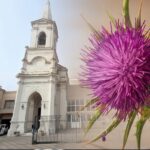 El CENS 452 quiere que Brandsen tenga una flor que lo identifique