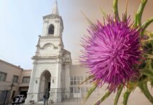 El CENS 452 quiere que Brandsen tenga una flor que lo identifique