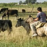 La UATRE advirtió que están en riesgo 120.000 puestos de trabajo rural