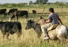 La UATRE advirtió que están en riesgo 120.000 puestos de trabajo rural