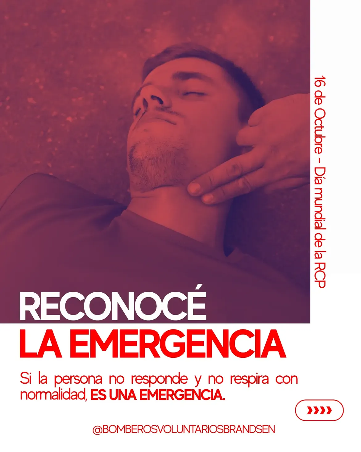 Campaña de RCP de Bomberos Voluntarios Brandsen, placa 2 de 8