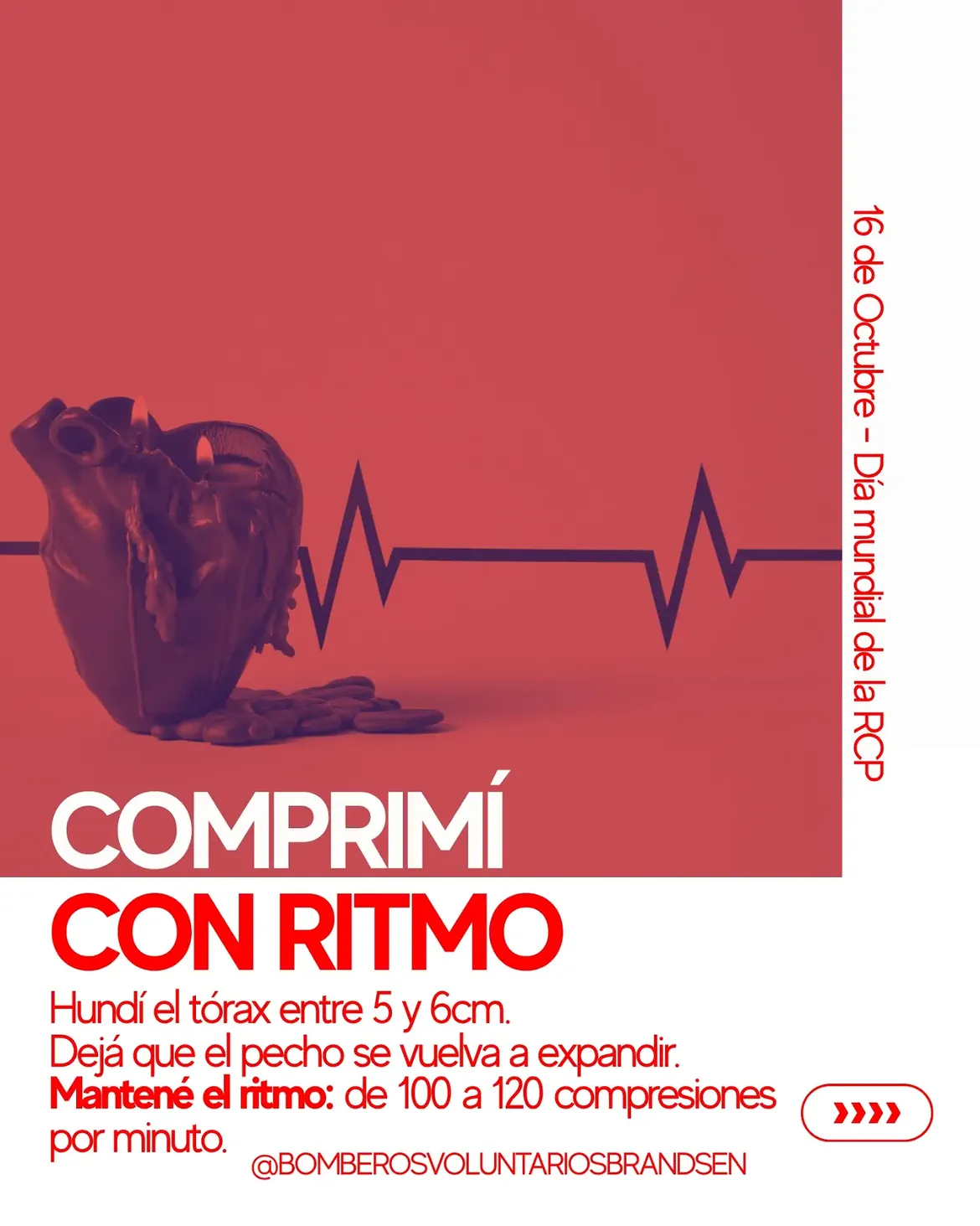 Campaña de RCP de Bomberos Voluntarios Brandsen, placa 6 de 8