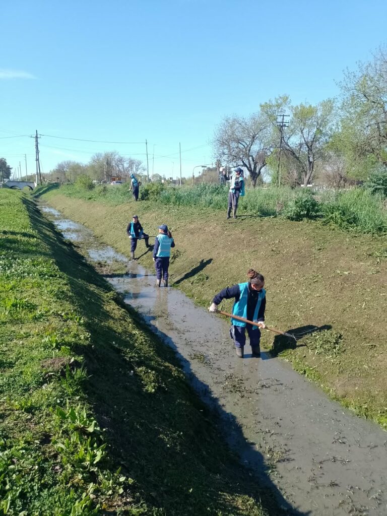 Retiro de residuos y vegetación del cauce