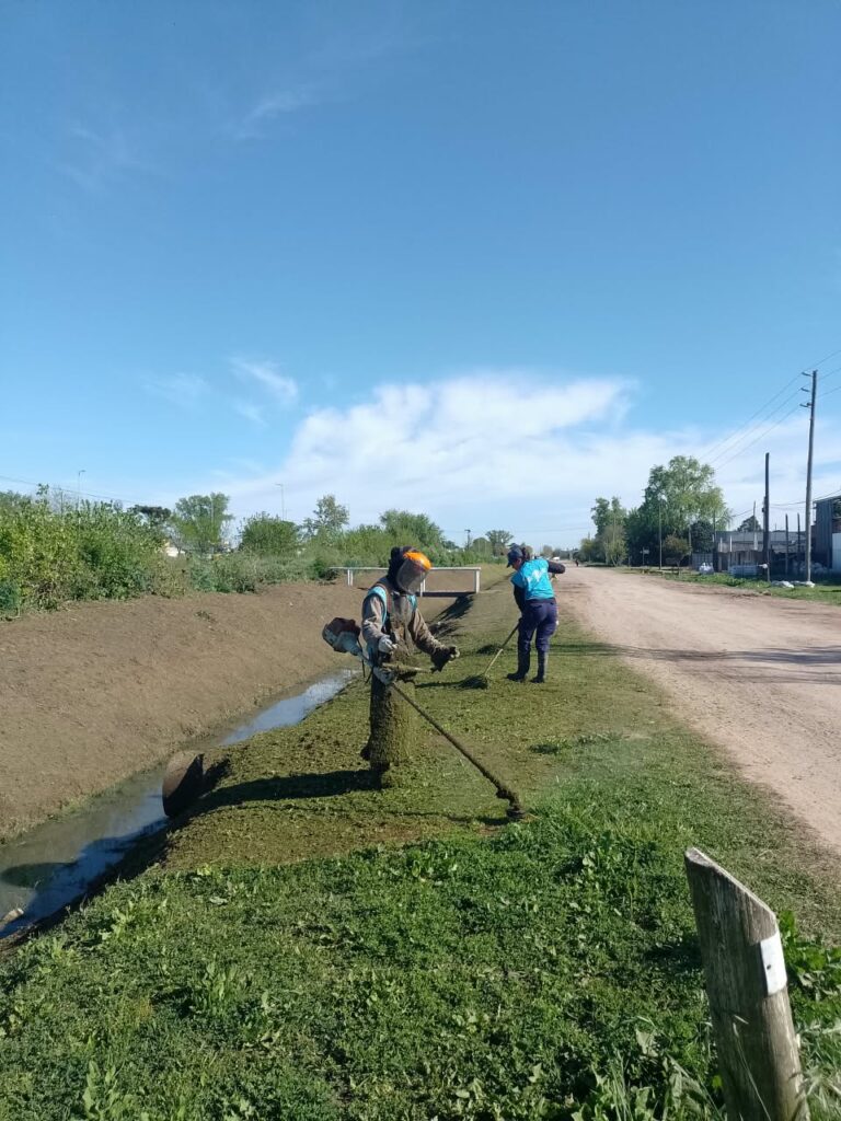 Limpieza de vegetación en las márgenes del cauce