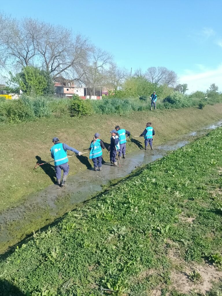Despeje de vegetación en el canal