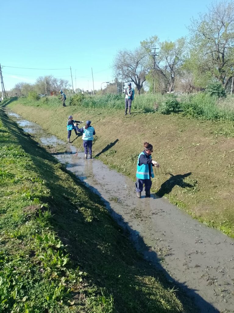 Limpieza del cauce de un zanjón