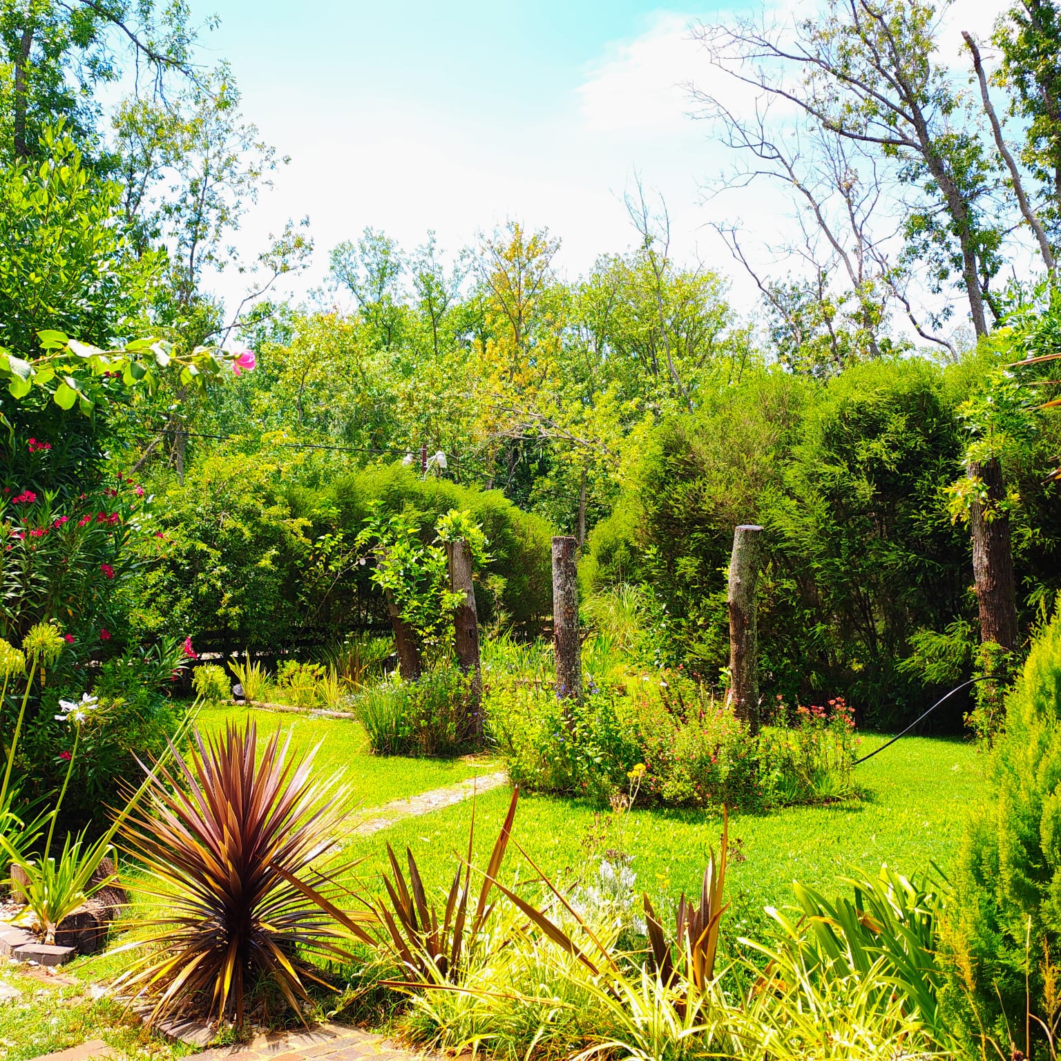 Propiedad en Los Bosquecitos, Brandsen