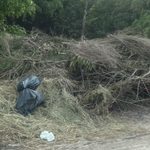 Escriben los lectores: denuncian la acumulación de ramas y residuos en La Dolly II