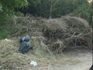 Escriben los lectores: denuncian la acumulación de ramas y residuos en La Dolly II