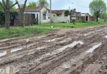 Escriben los lectores: vecino reclama por el estado de la calle Alem en Jeppener