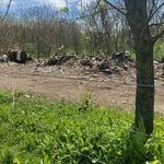Denuncian vuelco de residuos en una cava abandonada sobre Ruta 54