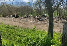 Denuncian vuelco de residuos en una cava abandonada sobre Ruta 54