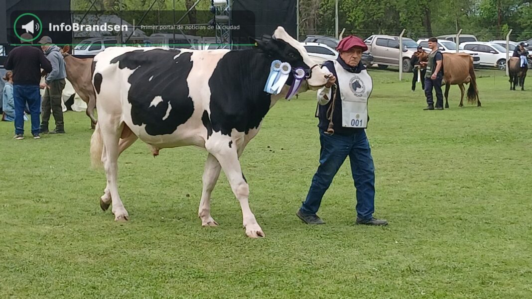 Una de las campeonas Holando en el desfile por la pista central.