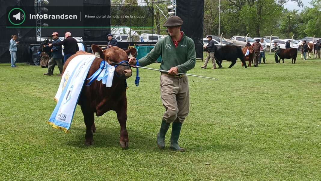 El desfile de campeones, con las mantas y escarapelas de la 63ª Expo.
