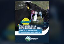 El Municipio invita a disfrutar de la 63ª Exposición Ganadera, Comercial e Industrial de Brandsen Expo Brandsen 2026 del 8 al 11 de octubre