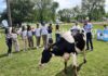 Llega la Expo Brandsen: cuatro días de música, danza y espectáculos para acompañar la gran muestra rural