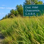 Reclaman mantenimiento por el pasto crecido en la Autovía 2