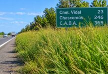 Reclaman mantenimiento por el pasto crecido en la Autovía 2