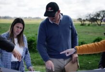 Brandsen avanza con el Plan Buenos Aires Hábitat para nuevos lotes con servicios Equipos del Municipio de Brandsen y del Ministerio de Hábitat bonaerense analizan planos en una recorrida por terrenos