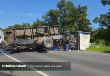 Grave accidente en Ruta 215 entre camión y camioneta Siniestro vial entre Brandsen y Loma Verde