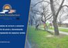 Somos Brandseños: cooperativa de trabajo para el cuidado de arroyos, zanjones y espacios verdes Somos Brandseños, Cooperativa de Trabajo: limpieza de arroyos y zanjones, corte de pasto y parquización en Brandsen