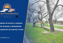 Somos Brandseños: cooperativa de trabajo para el cuidado de arroyos, zanjones y espacios verdes Somos Brandseños, Cooperativa de Trabajo: limpieza de arroyos y zanjones, corte de pasto y parquización en Brandsen