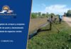 Somos Brandseños: cooperativa de trabajo para el cuidado de arroyos, zanjones y espacios verdes Cooperativa Somos Brandseños: integrante cortando pasto junto a un zanjón