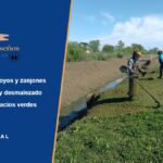 Somos Brandseños: cooperativa de trabajo para el cuidado de arroyos, zanjones y espacios verdes Cooperativa Somos Brandseños: integrante cortando pasto junto a un zanjón