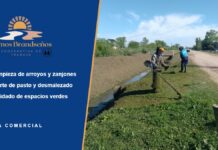 Somos Brandseños: cooperativa de trabajo para el cuidado de arroyos, zanjones y espacios verdes Cooperativa Somos Brandseños: integrante cortando pasto junto a un zanjón