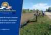 Somos Brandseños: cooperativa de trabajo para el cuidado de arroyos, zanjones y espacios verdes Cooperativa Somos Brandseños: integrante cortando pasto junto a un zanjón