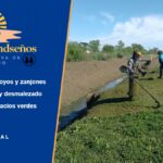 Somos Brandseños: cooperativa de trabajo para el cuidado de arroyos, zanjones y espacios verdes Cooperativa Somos Brandseños: integrante cortando pasto junto a un zanjón