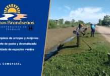 Somos Brandseños: cooperativa de trabajo para el cuidado de arroyos, zanjones y espacios verdes Cooperativa Somos Brandseños: integrante cortando pasto junto a un zanjón